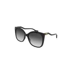 GG1010S-001
