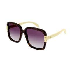 GG1066S-004