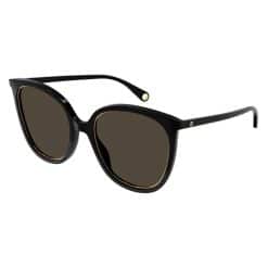 GG1076S-002